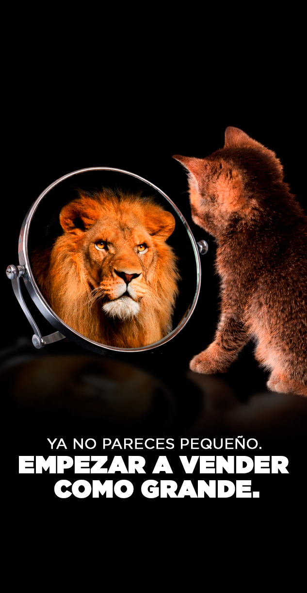 BANNER-mobile--rakya-PME_es